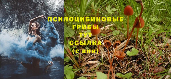 твердый Касимов