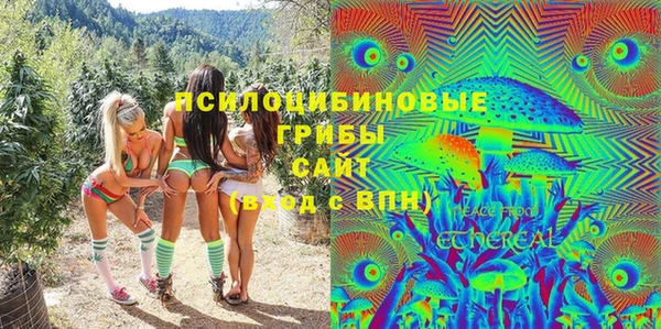 хмурый Карталы